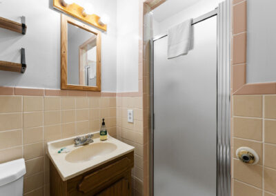 a bathroom with a sink, mirror, toilet and shower stall