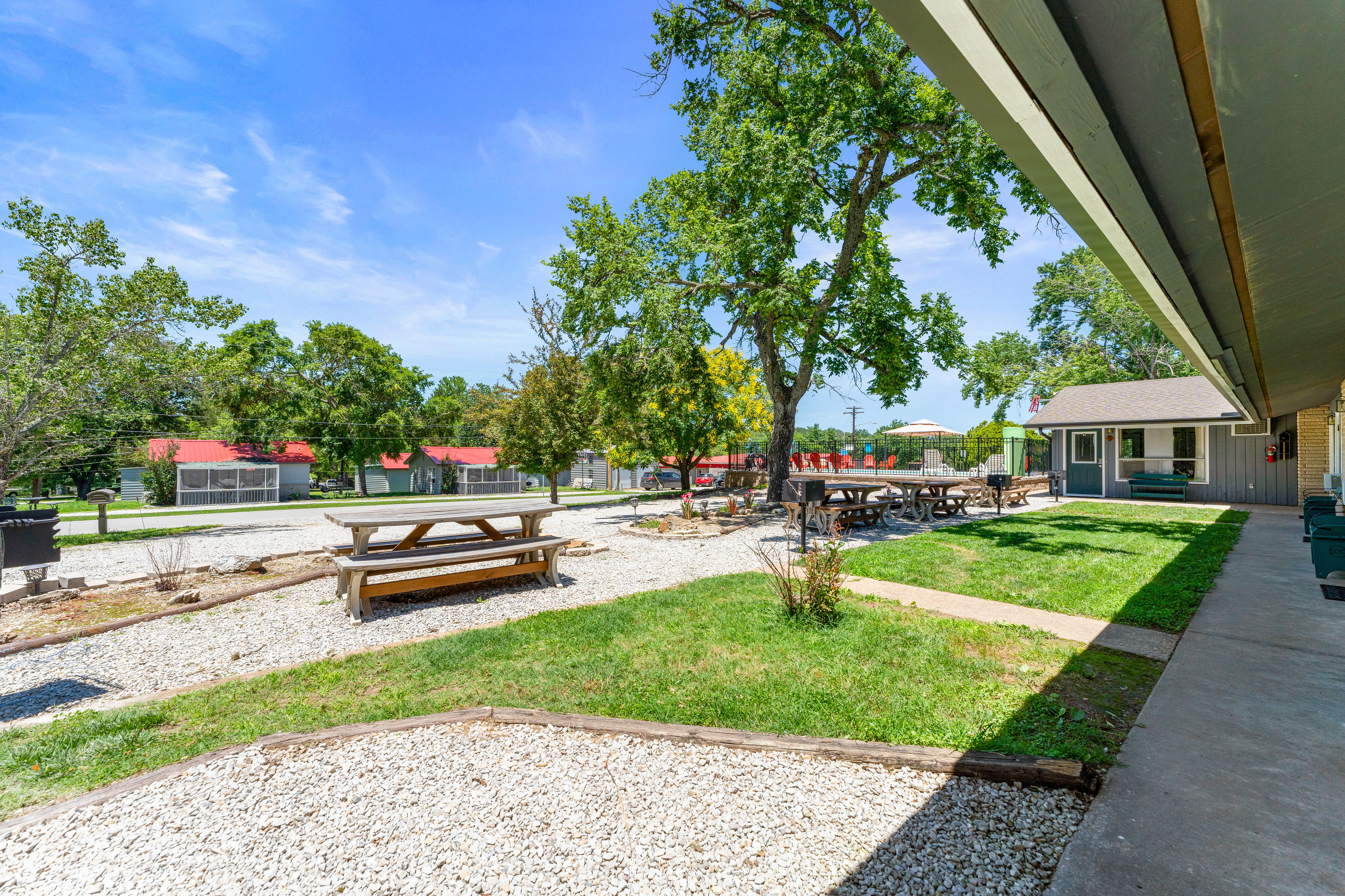 A tree and picnic table in a gravel and grass area with buildings in the background.
