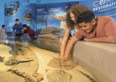 Aquarium at the Boardwalk