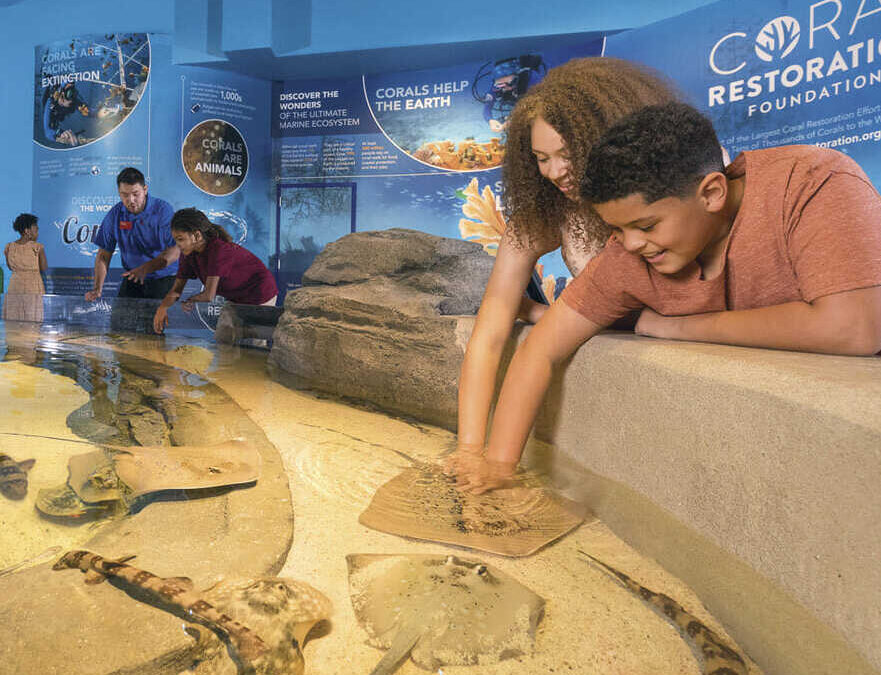 Aquarium at the Boardwalk