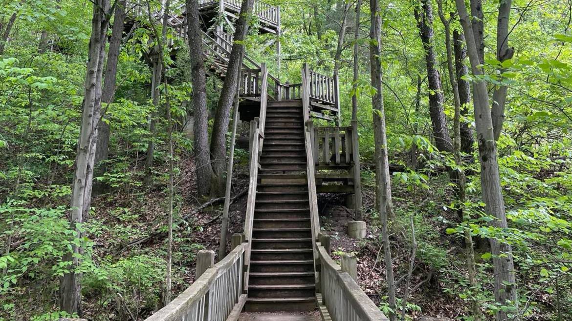statepark a set of stairs leading up to a tree house